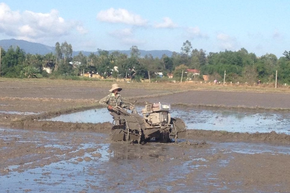 Huyện M’Drắk nỗ lực sản xuất vụ Đông Xuân 2017-2018 trong điều kiện thời tiết bất lợi